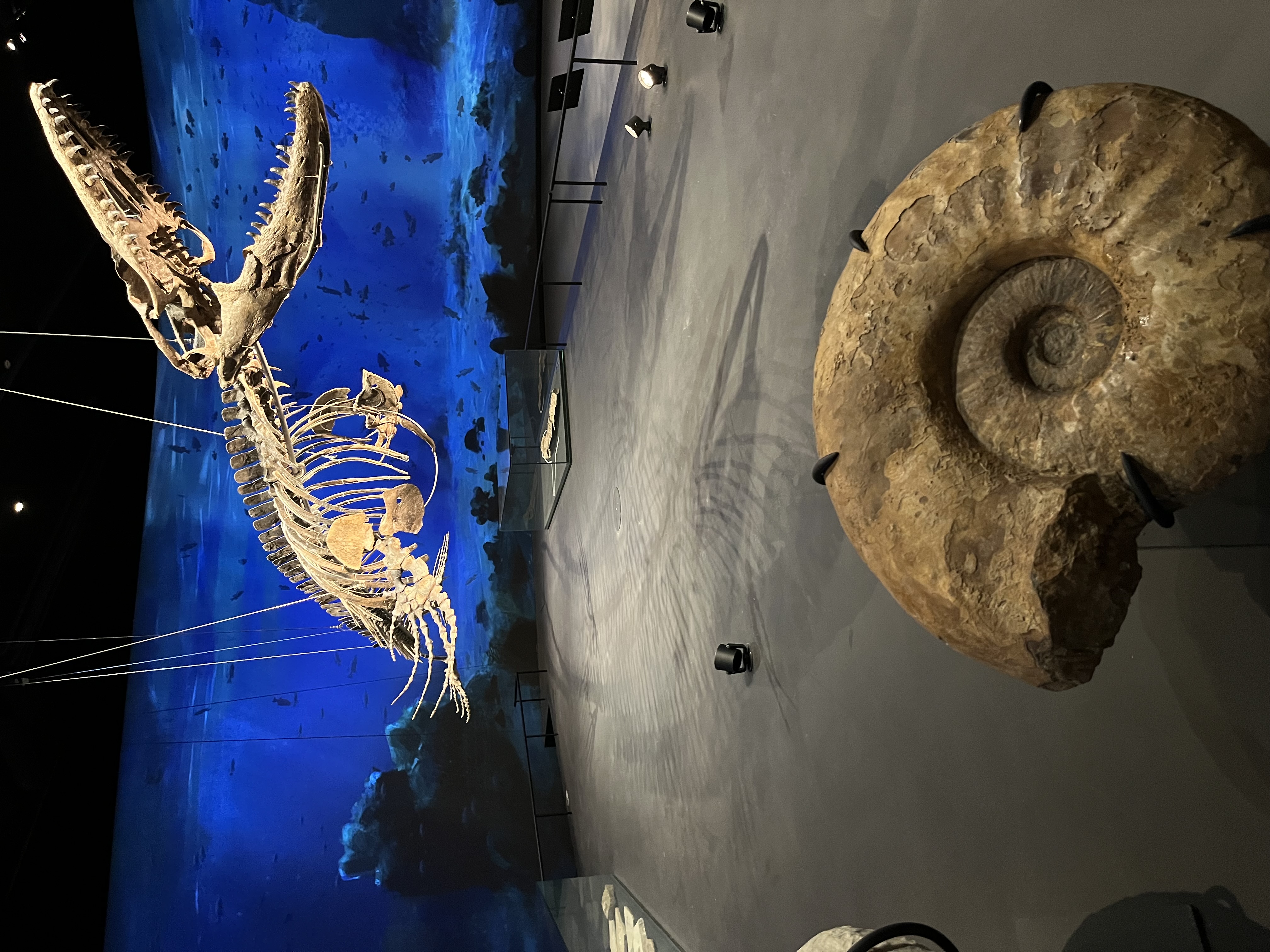 Dinosauria Museum Prague